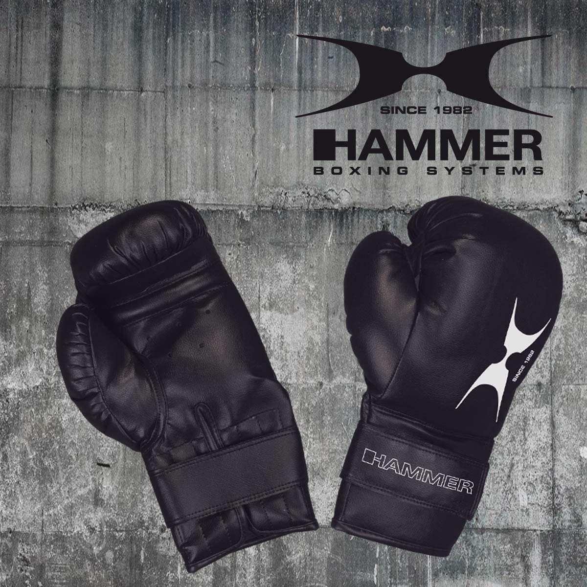 Image of HAMMER BOXING Box-Set Sparring Fit Boxsack + Boxhandschuhe