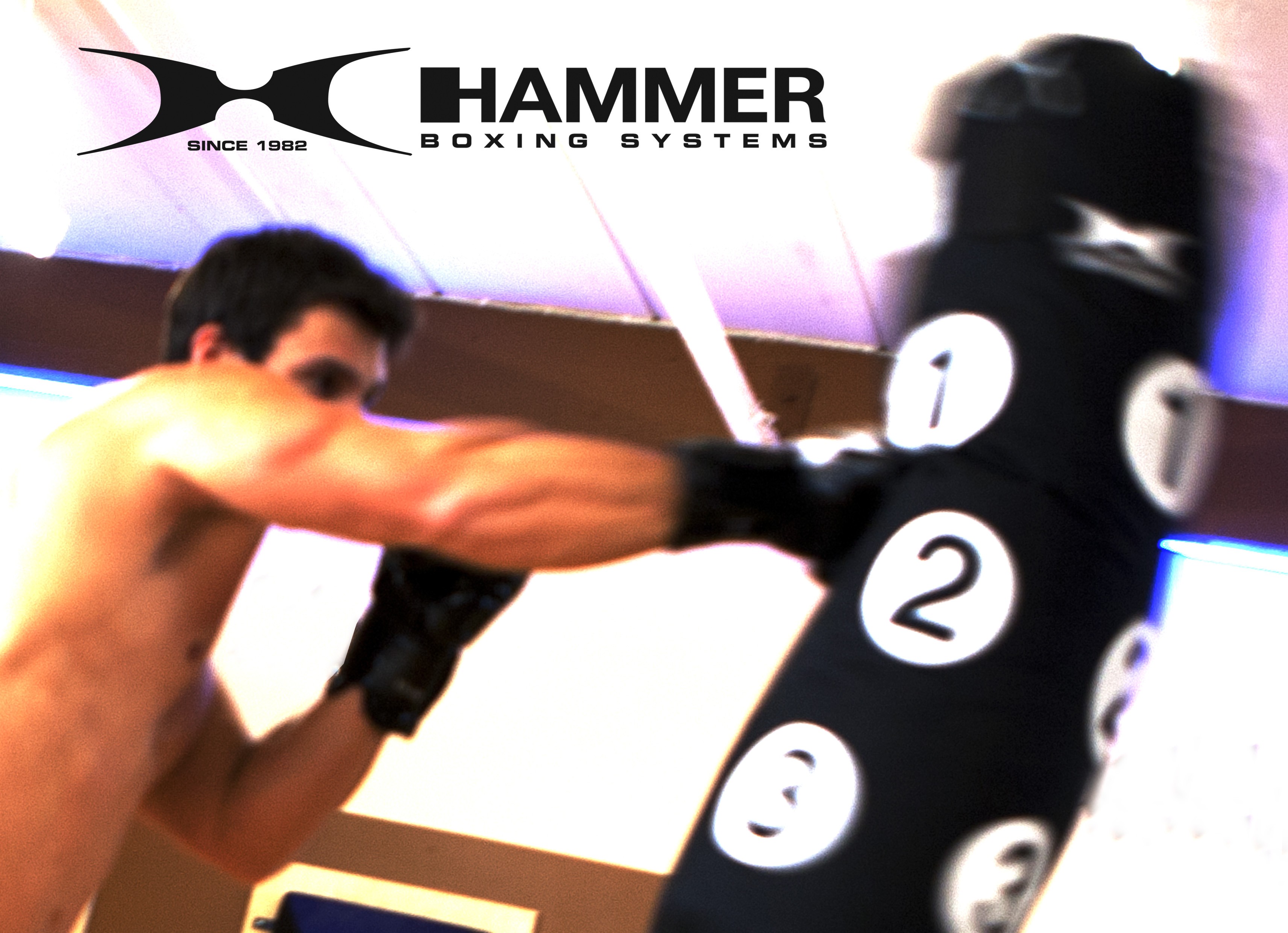 Kit De Boxe Sparring De Hammer Boxing